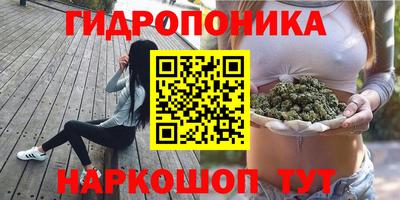 spice Малгобек