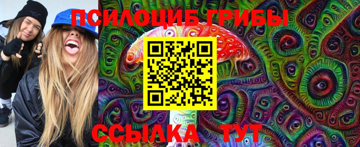 Псилоцибиновые грибы прущие грибы  Галлюциногенные грибы Magic Shrooms  дарнет шоп  Вход с VPN  Димитровград 
